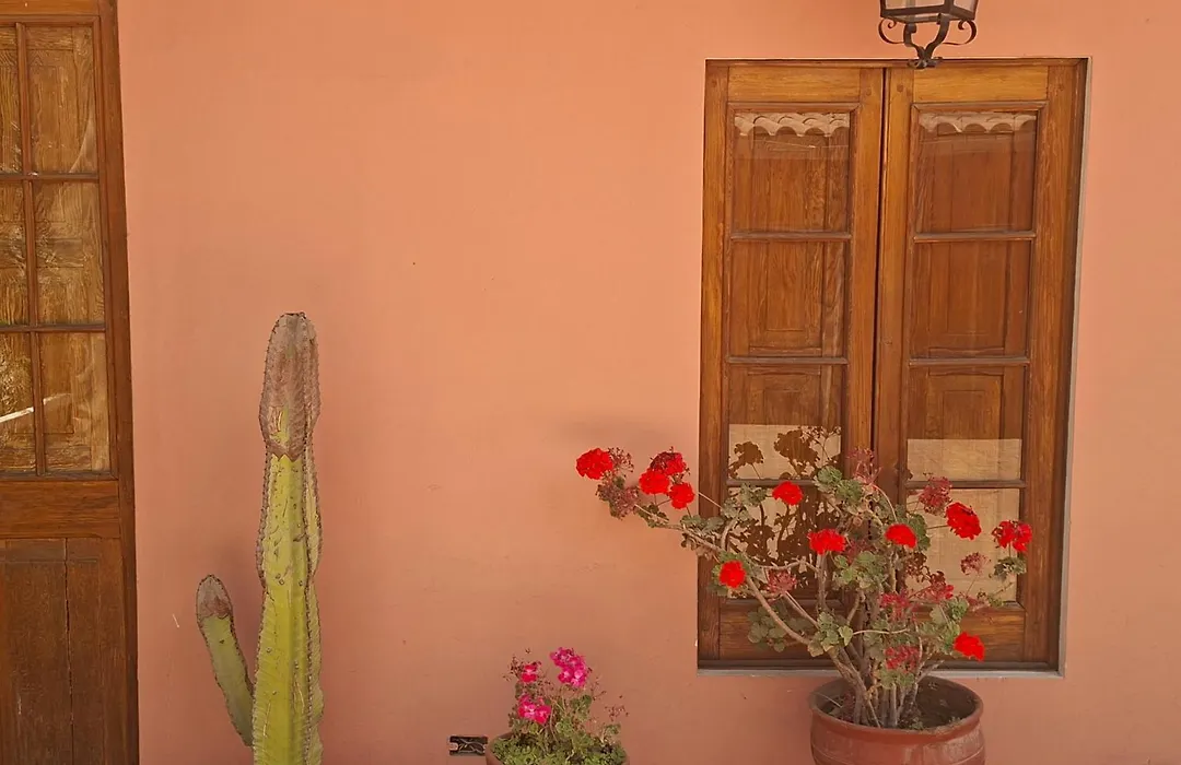 Posada Nueva España-1